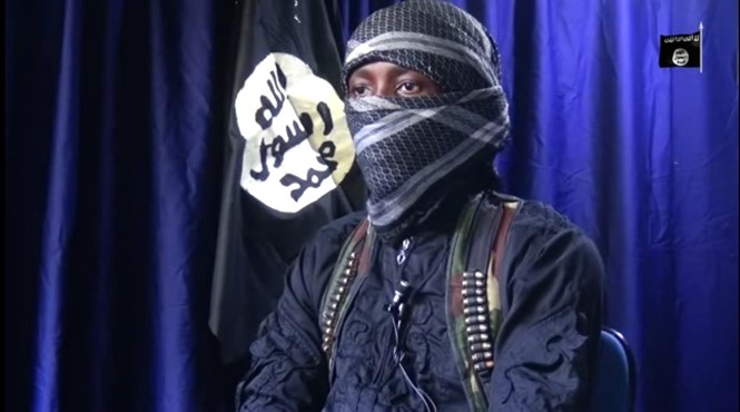 Boko Haram destroys 330KVA power towers in Yobe state
