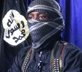 Boko Haram destroys 330KVA power towers in Yobe state