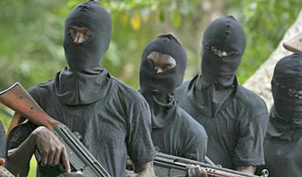 Gunmen invade university teaching hospital, abduct director