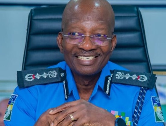 Abduction: International Press Institute calls for release of Daniel Ojukwu, threatens to brand inspector general of police enemy of media
