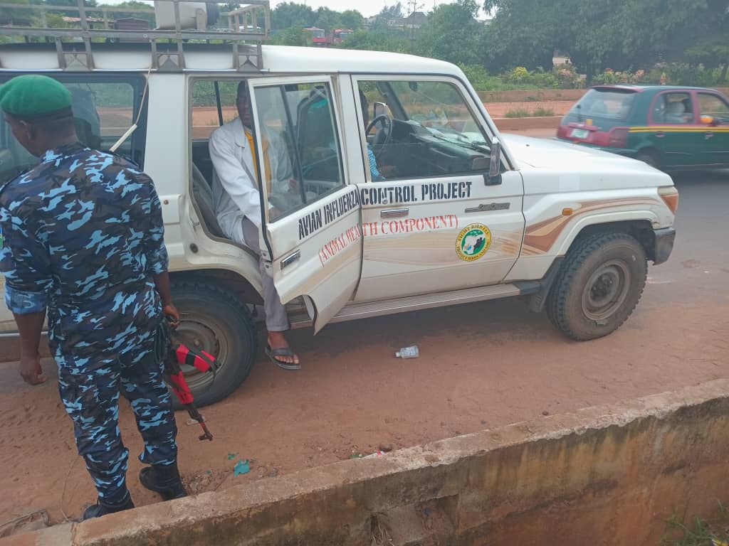 Avian Influenza Control Project officials allegedly arrest rams being sold at unapproved sales points