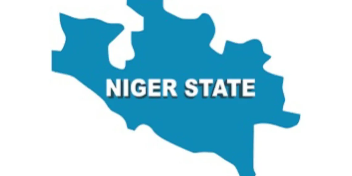 Strange illness hits Niger State as 24 residents are hospitalised