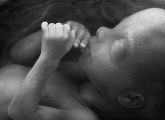 Police arrest suspects for attempting to buy pregnant woman’s foetus