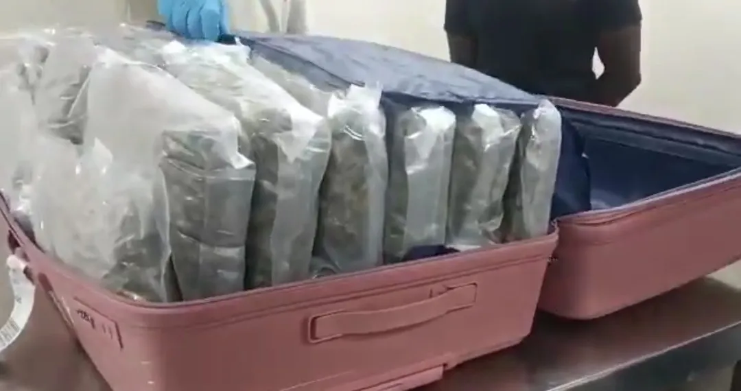 Nationwide drug bust: National Drug Law Enforcement Agency arrests two brothers, London-based student, others