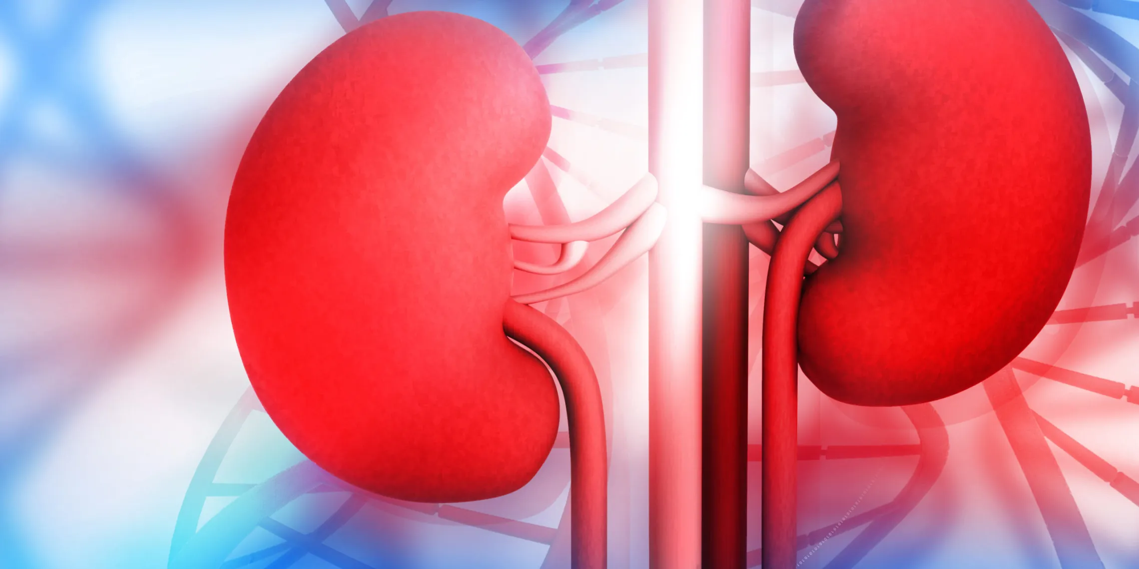 Federal medical centre performs first living-donor kidney transplant
