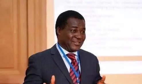 Kidnapped Nigerian professor freed