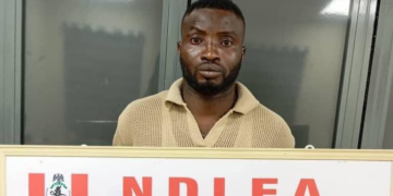 Former Nigerian footballer arrested for alleged cocaine smuggling