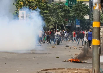 Kenyan citizens protest death of blogger in police custody, as police fire teargas