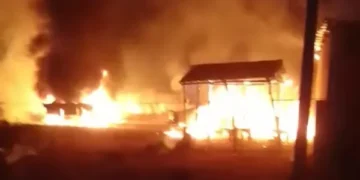11 killed in Borno bomb explosion