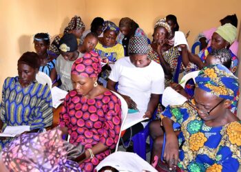 MacArthur Foundation collaborates Non-Governmental Organisations over Community Engagement on Gender-Inclusive in Elections