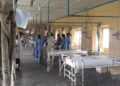 Nigerian nurses reject government circular on allowances