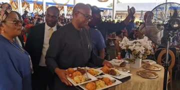 I have no house help, I serve my guests at home, says Peter Obi