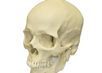 Police arrest suspected cultist, recover human skull