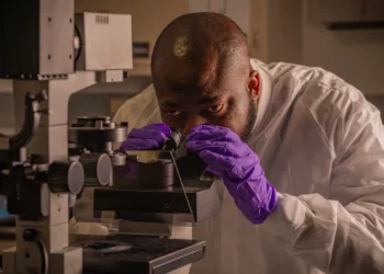 Nigerian scientist sends egusi seeds to space in landmark scientific experiment