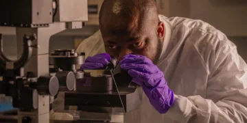 Nigerian scientist sends egusi seeds to space in landmark scientific experiment