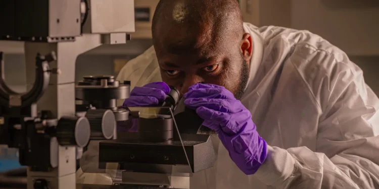 Nigerian scientist sends egusi seeds to space in landmark scientific experiment