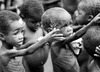 Malnutrition kills over 650 children in Katsina state within six months, says charity organization