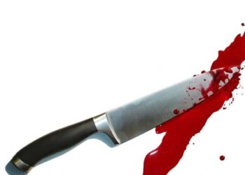 Man allegedly stabs girlfriend to death