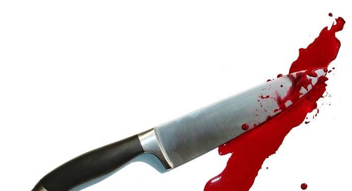 Man allegedly stabs girlfriend to death