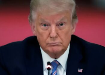 World Health Organisation tackles Donald Trump on autism in children