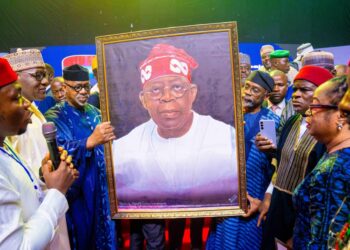 Former Southern Legislators endorse Tinubu for second term at Abeokuta Summit