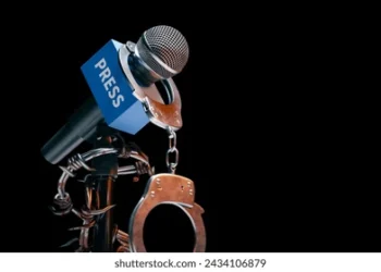 Nigerian Editors frown at abuse of Cybercrime Act by law enforcement agents