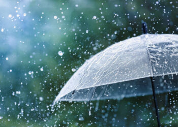 When the Rainy Season Refuses to Rain in the Digital Age