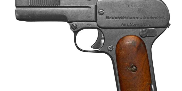 Village head shoots sister over palm fruits