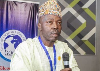 Danlami Nmodu emerges online publisher’s president, takes over from Chigbo