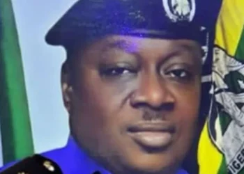 Lawyer accuses Police Commissioner of shielding oil theft suspect, petitions Tinubu