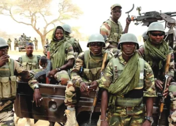Troops rescue 86 victims, arrest 29 terror suspects in Borno state
