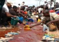Nigeria lost over $300 billion to oil theft, Auditors tell Senate