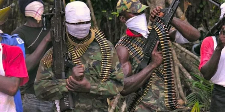 Amnesty International identifies group terrorising residents in Nigeria’s South-east