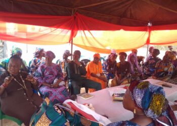 Ogun State -Based Care Institute Celebrates Senior Citizens with Wellness Outreach