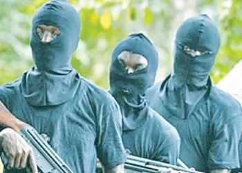 Terrorists kill 15 villagers harvesting cashew in Benue state