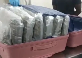 Nigerian doctor, Ivorian arrested over cocaine trafficking
