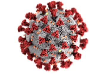 Coronavirus resurfaces in Nigeria