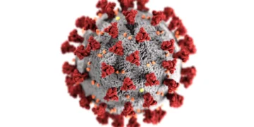 Coronavirus resurfaces in Nigeria