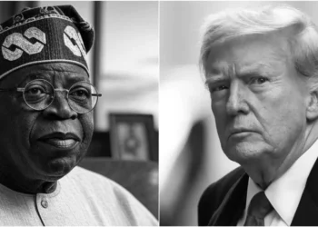 Nigerian government faults America advisory warning citizens against travel to Nigeria