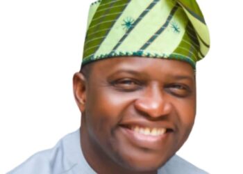 Diaspora must drive Nigeria’s health reforms, says Adeniyan