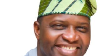 Diaspora must drive Nigeria’s health reforms, says Adeniyan