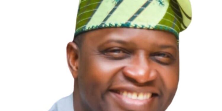 Diaspora must drive Nigeria’s health reforms, says Adeniyan