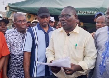 Adijat Adeleye, former commissioner emerges as candidate for house of representatives in Ogun state