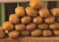 Three women nabbed with 640 grams of ‘Canadian loud’