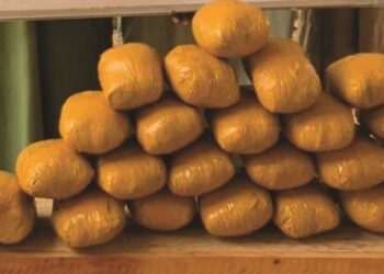 Three women nabbed with 640 grams of ‘Canadian loud’