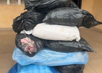 Police recover 10 bags of Igbo from suspects