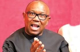 You are a politician made of jelly, political nomad, Presidency mocks Peter Obi