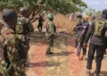 Nigerian Army rescues 360 abducted people from Boko Haram enclave