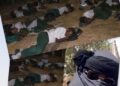 Oyo state teachers begin indefinite strike over continued captivity of abducted colleagues, pupils