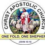 Why peace moves failed in Christ Apostolic Church Nigeria and overseas: A Pastoral Reflection on Truth, History, and the Hope of Restoration 